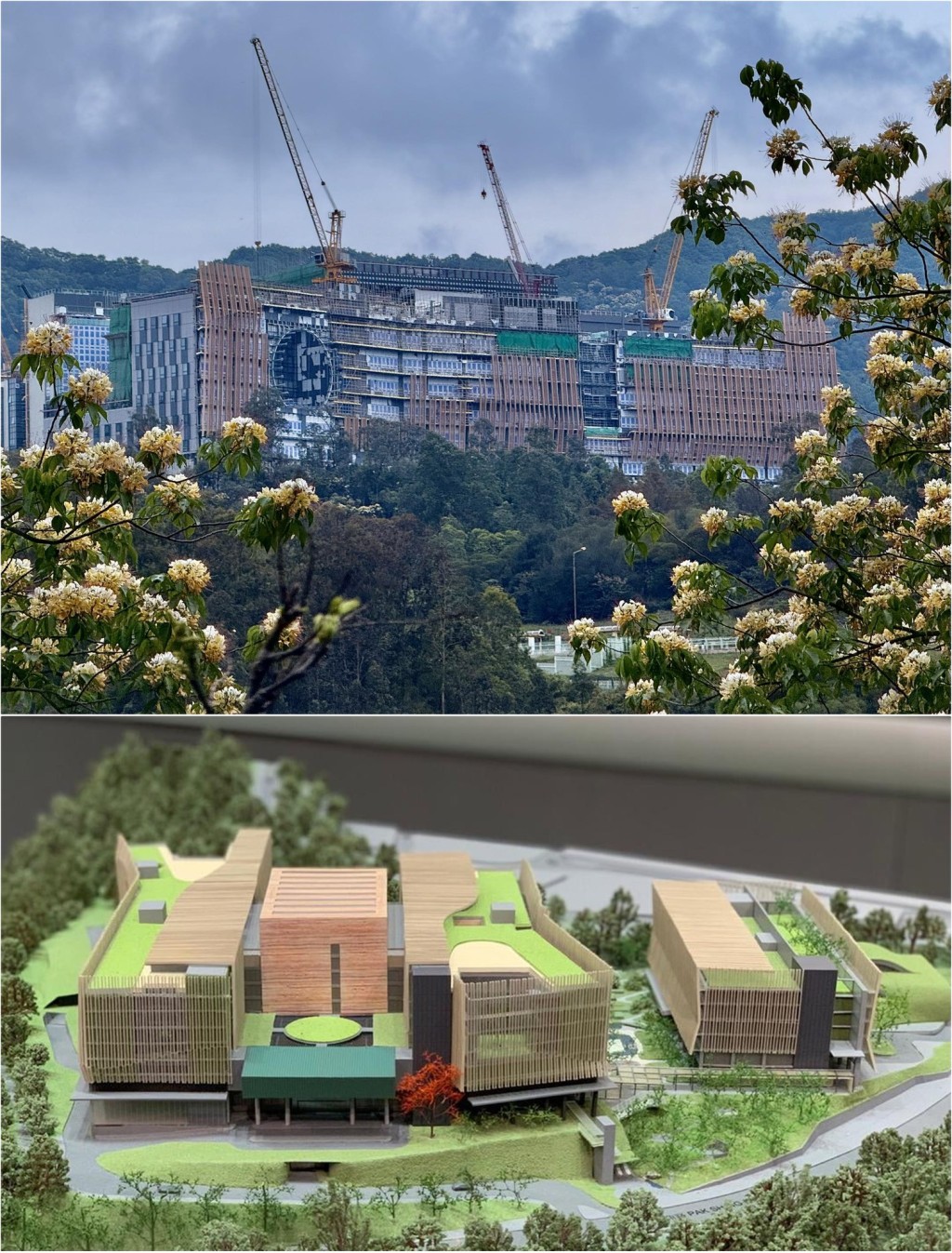 香港中醫醫院(上)、醫院模型。fb「將軍澳主場」截圖 香港中醫醫院(上)、醫院模型。fb「將軍澳主場」截圖
