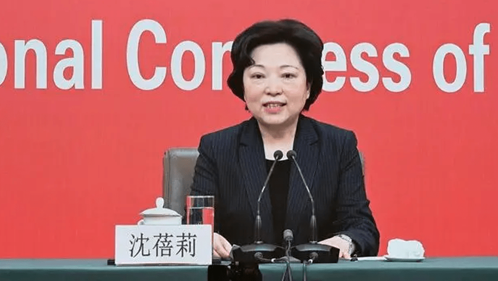 中央對外聯絡部副部長沈蓓莉。