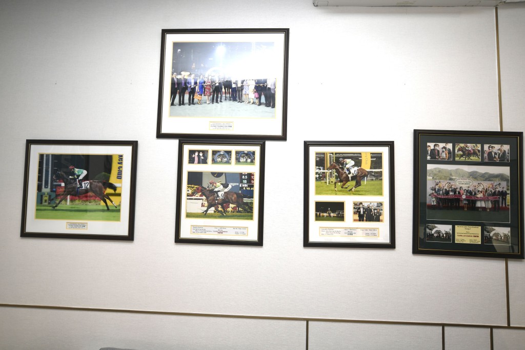 沈墨宁的办公室内挂满了有关「飞轮」系马匠战绩的威水相。