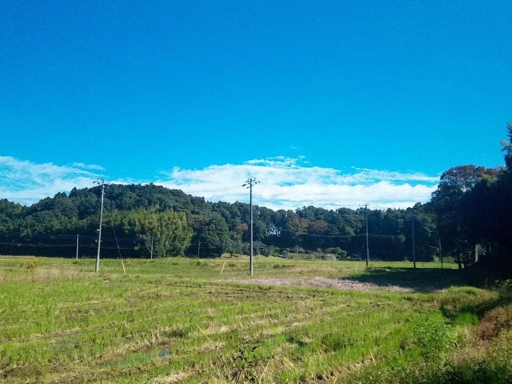 Ned Watson分享屋外的美景。