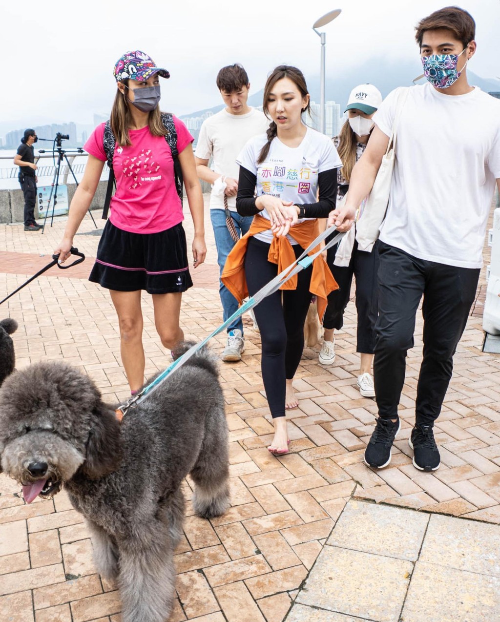 吳紫韻參加「赤腳慈行 」活動，鄒兆霆帶同兩人的愛犬前來打氣。