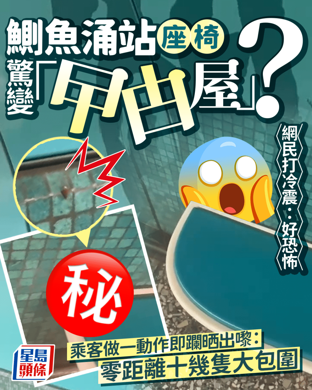 港鐵鰂魚涌站座椅驚變曱甴屋? 乘客做一動作即躝晒出嚟:零距離十幾隻大包圍 港鐵鰂魚涌站座椅驚變曱甴屋? 乘客做一動作即躝晒出嚟:零距離十幾隻大包圍
