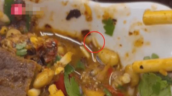 貴陽女食火鍋驚見活蛆蠕動。百姓關注