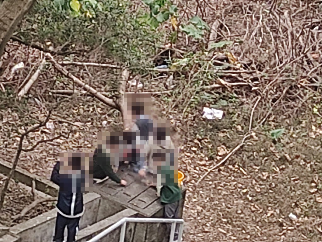 大约有6名少年在何文田邨逸文楼对开的后山玩耍。网上图片