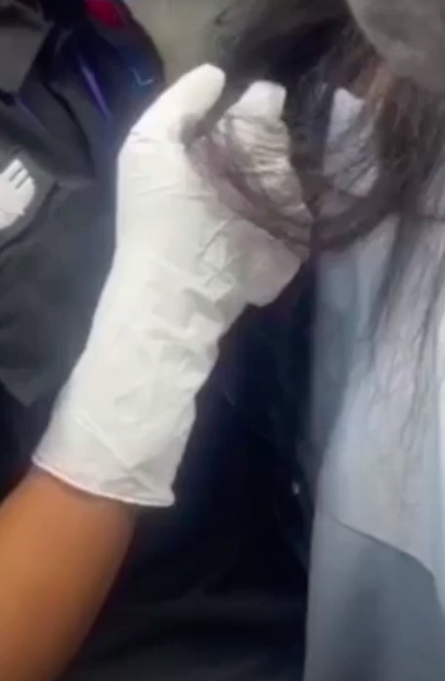 网图