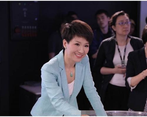 央視女主播劉欣再登美媒節目，大談中美貿易和香港議題。網圖