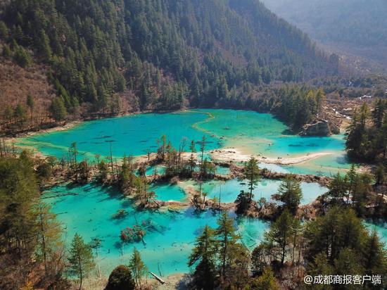 花火海。網圖