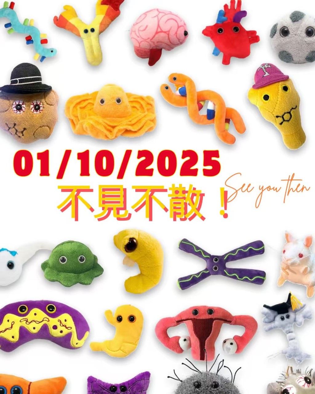（圖片來源：香港醫學博物館）
