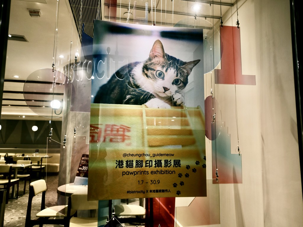 慈善街猫摄影展｜《港猫脚印》摄影展由即日起至9月30日举办。