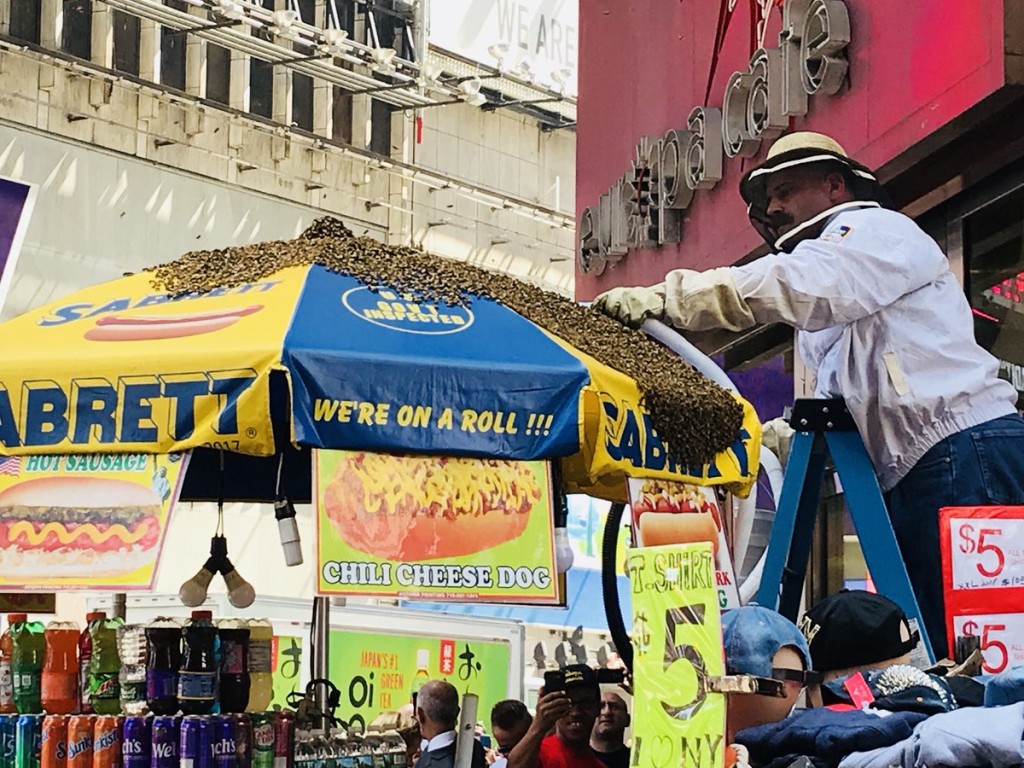 一大群蜜蜂停在街上一輛熱狗餐車的兩傘上。 網圖