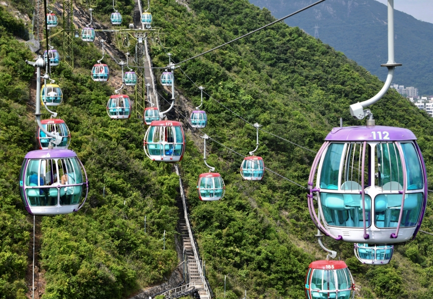 海洋公園「森度遊」涉佔官地牟利,園方指正檢視活動內容。資料圖片