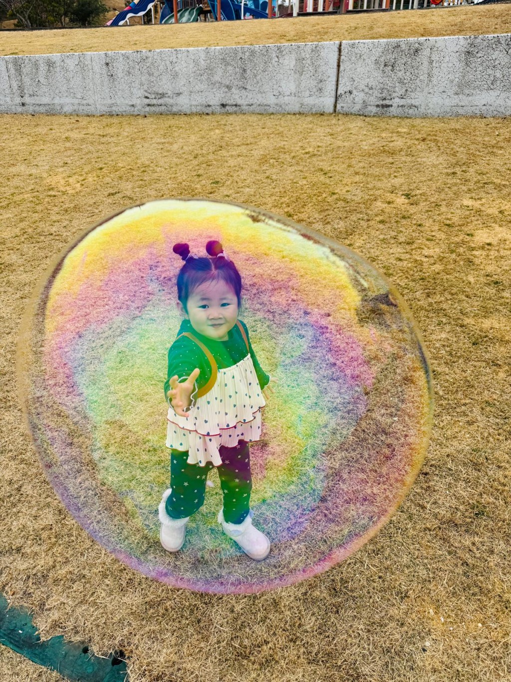 （圖片來源：作者提供）