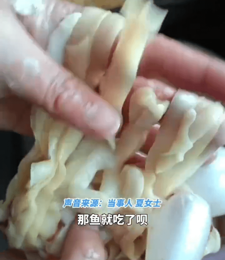裂頭蚴的蟲體肉質肥厚，呈白色長帶狀，很像麵條。