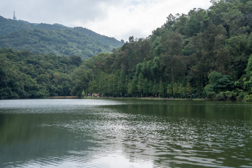 位於八仙嶺郊野公園內的流水響水塘有「港版輕井澤」之稱。