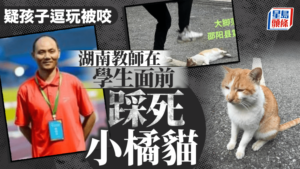 湖南冷血老師當眾踩死肥貓  知情人：其孩子逗貓被咬