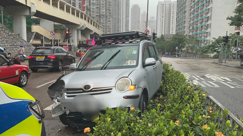 掛P牌私家車鏟上花槽。林思明攝