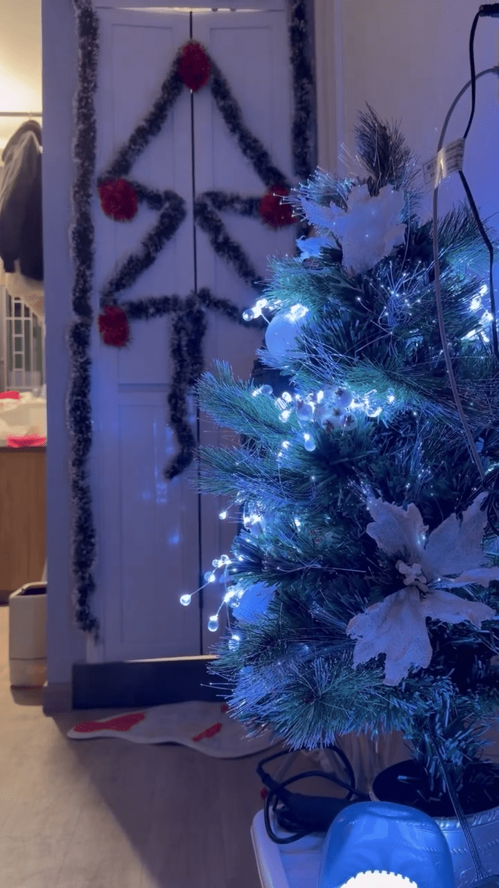 有災民特意在過渡性房屋內,擺放聖誕佈置,希望一切都會好起來。Threads:dorism 有災民特意在過渡性房屋內,擺放聖誕佈置,希望一切都會好起來。Threads:dorism