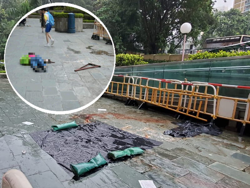 鐵架砸死女途人。