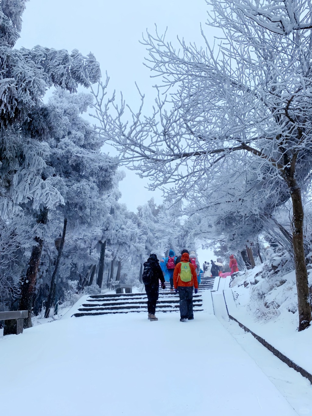 每年湖南衡阳南岳衡山的壮丽雪景，都吸引很多游人前往观赏。（图片来源：小红书）