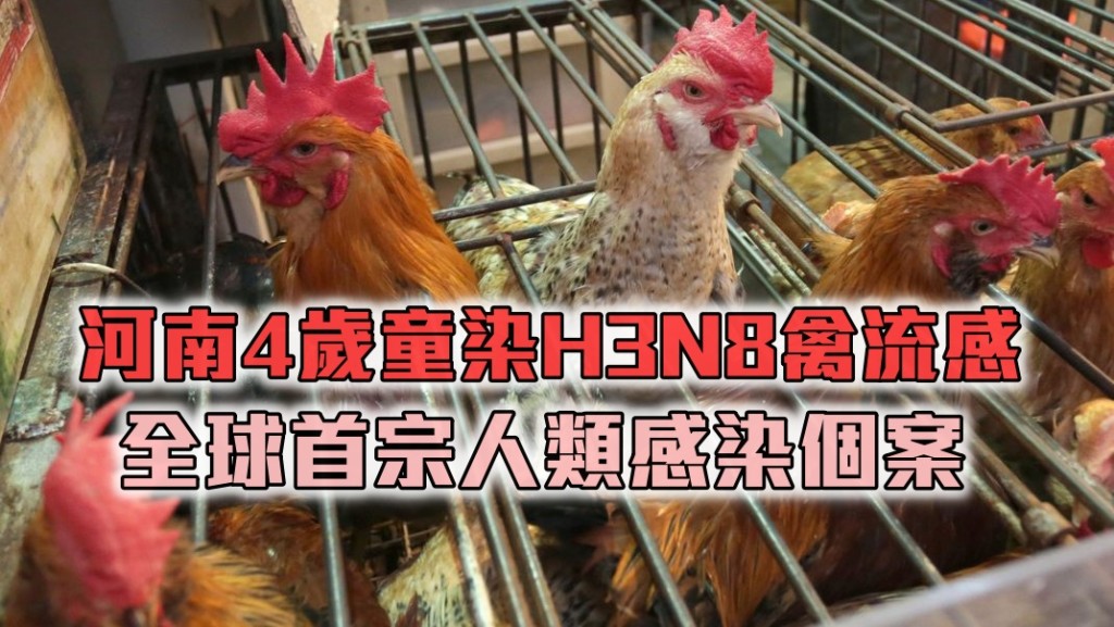資料圖片
