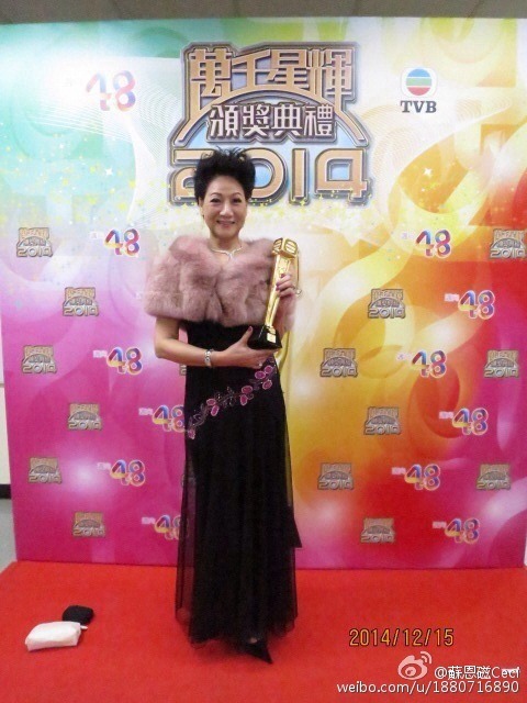 苏恩磁在《万千星辉颁奖典礼2014》获颁发「专业演员大奖」。