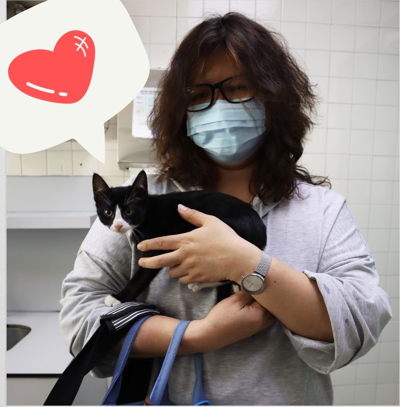 果欄被盜貓「阿寶」由主人接回家