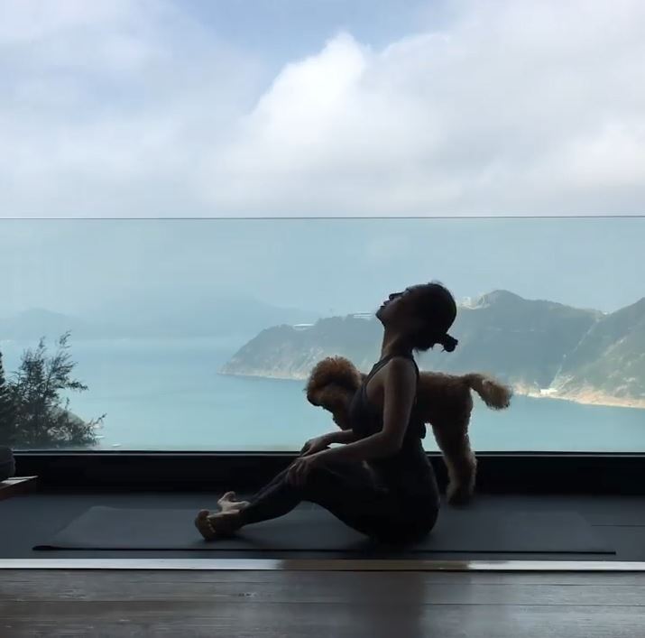 彭羚上載喺淺水灣豪宅做運動嘅片都會見到Millie。