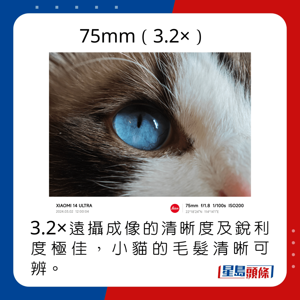3.2×遠攝成像的清晰度及銳利度極佳，小貓的毛髮清晰可辨。