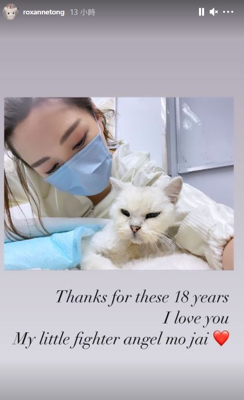 感謝小伙伴18年來的陪伴。