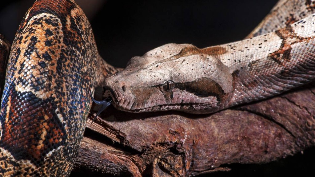 示意圖。(路透社)