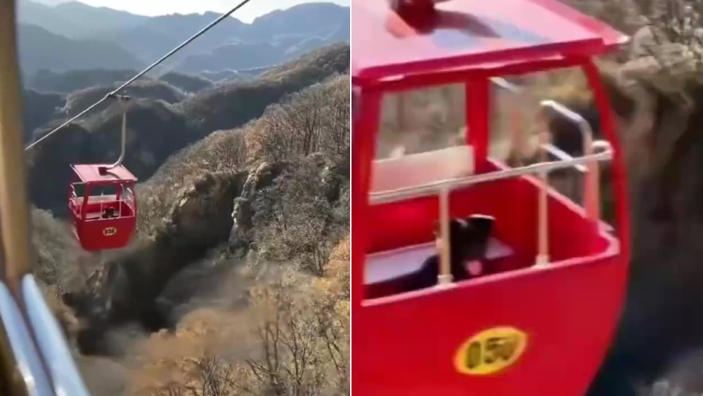 黑狗淡定獨自坐纜車上山，石家莊景區稱熟路自溜上車。