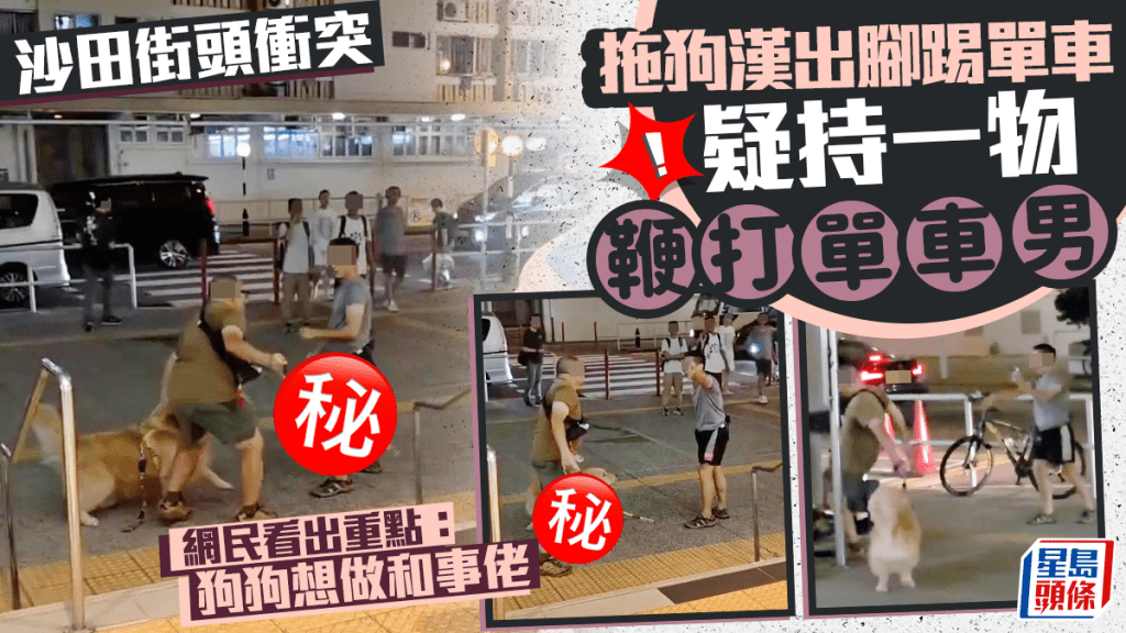 沙田街頭揮鞭暴力衝突 拖狗漢出腳踢單車 疑持一物追打單車男 網民:狗狗想做和事佬