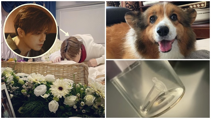 軒仔愛犬妹妹日前火化,他傷心欲絕。