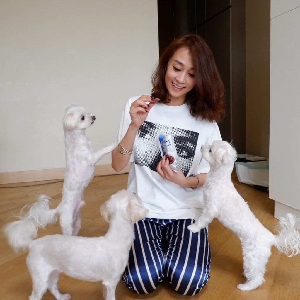 心美養多隻愛犬。