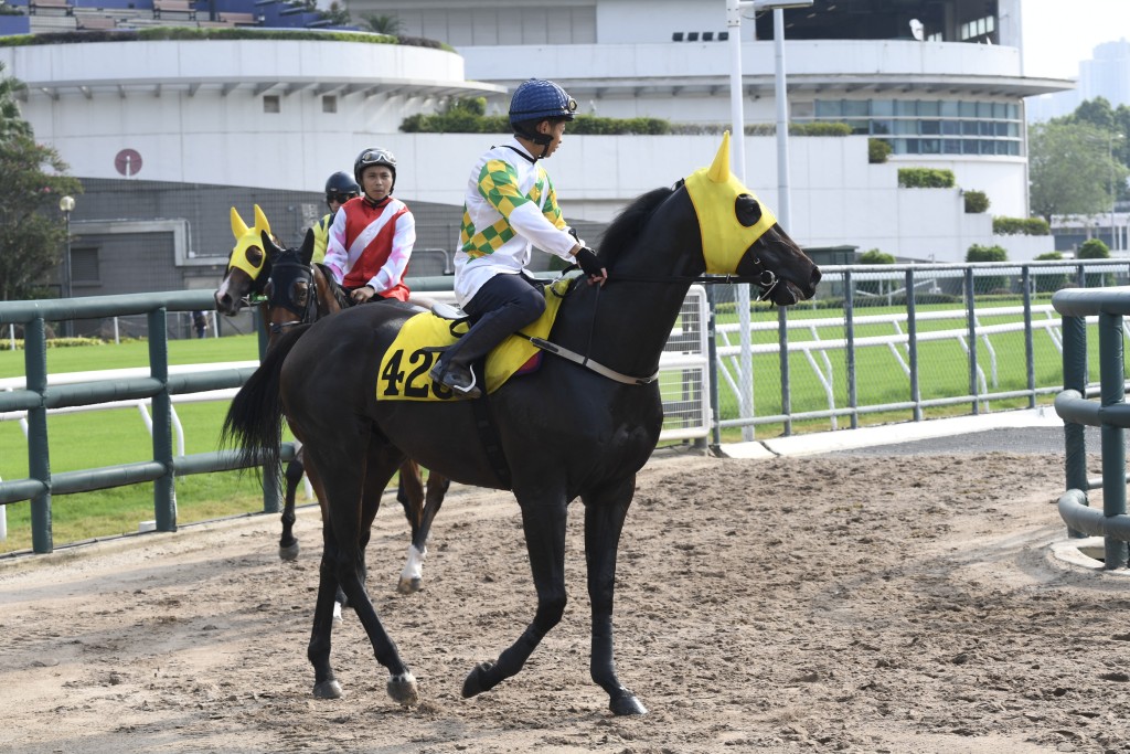 「欣樂人生」進度極之出色，今仗可贏馬出頭。