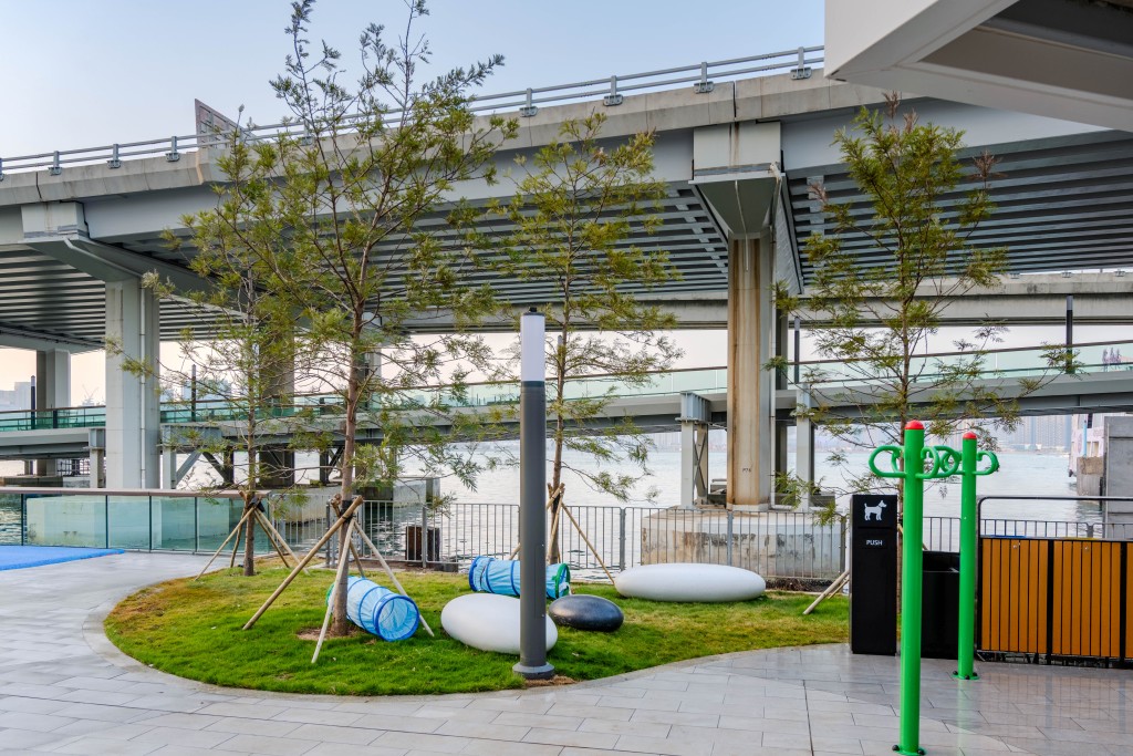 圖示近電照街的寵物友善區。政府新聞處圖片
