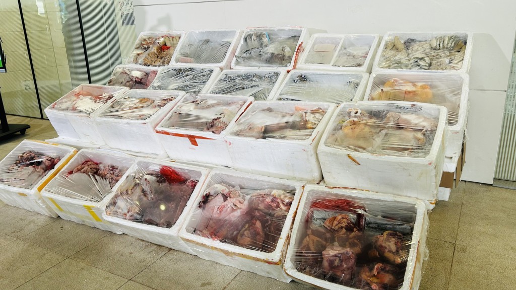 香港執法單位亦經常破獲走私凍肉回大陸的犯罪集團。星島 香港執法單位亦經常破獲走私凍肉回大陸的犯罪集團。星島