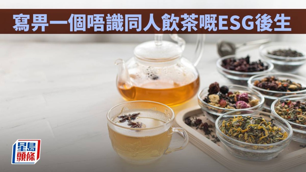 寫畀一個唔識同人飲茶嘅ESG後生｜林一一