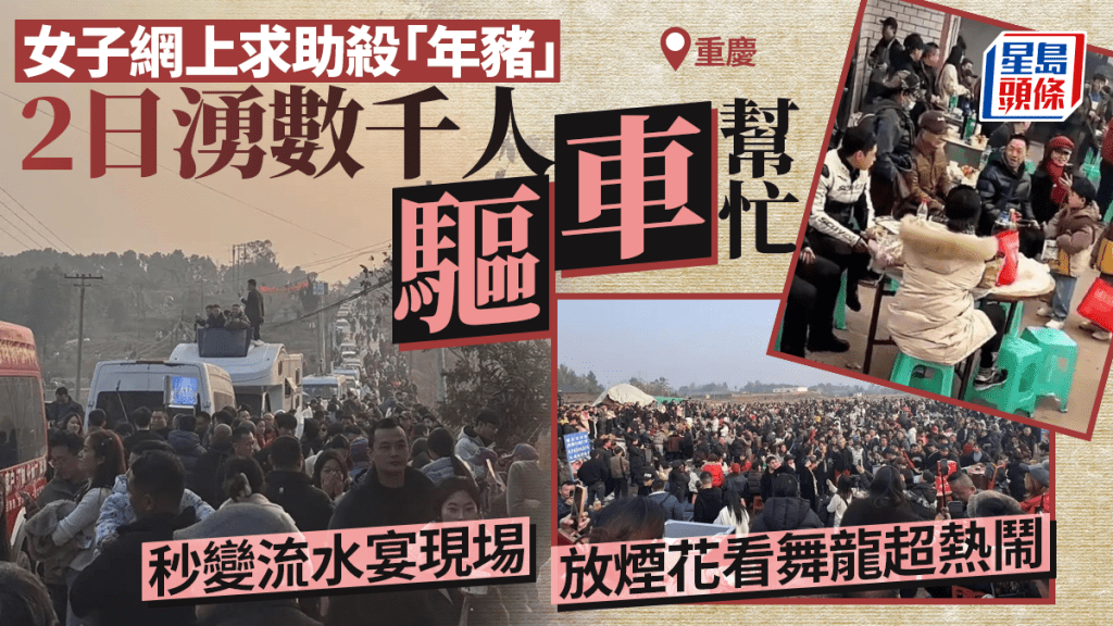 重慶女子求助殺年豬  兩日萬人驅車幫忙