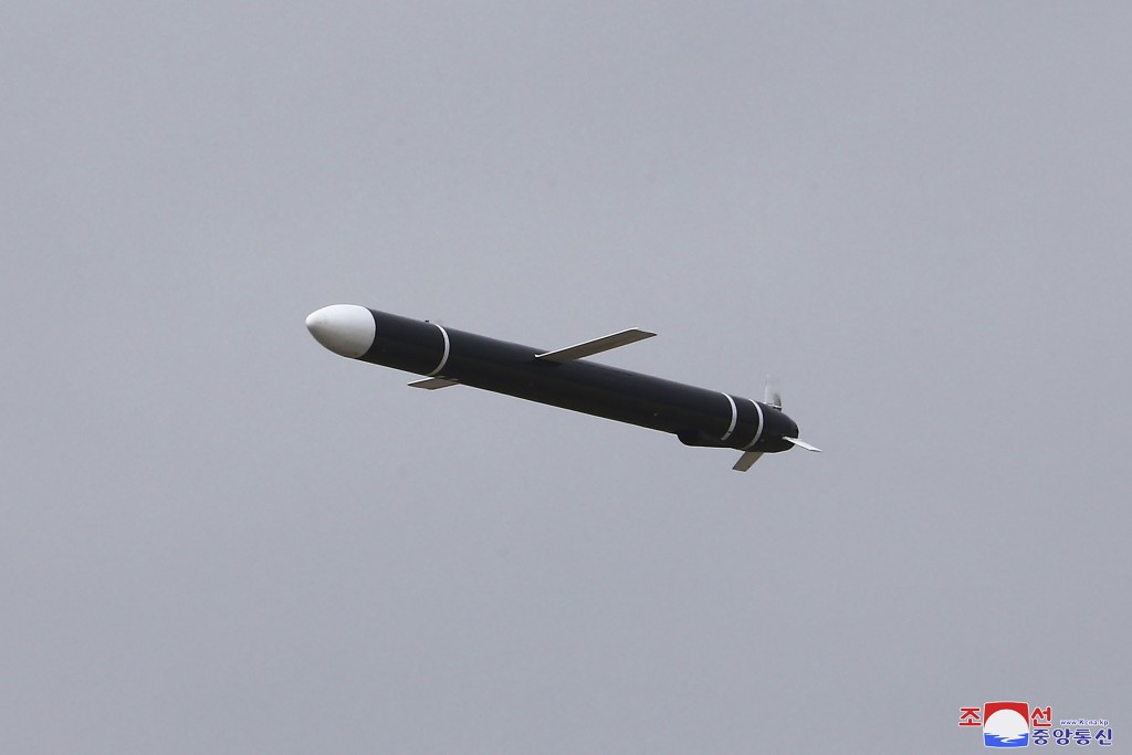 戰略巡航導彈低空飛行照片。 AP