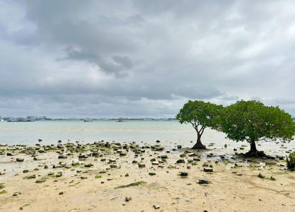 湛江情侶好去處2024｜3. 觀海長廊 水位低的時候，可以看到沙灘景色。（圖片來源：小紅書@奶油桃子冰）