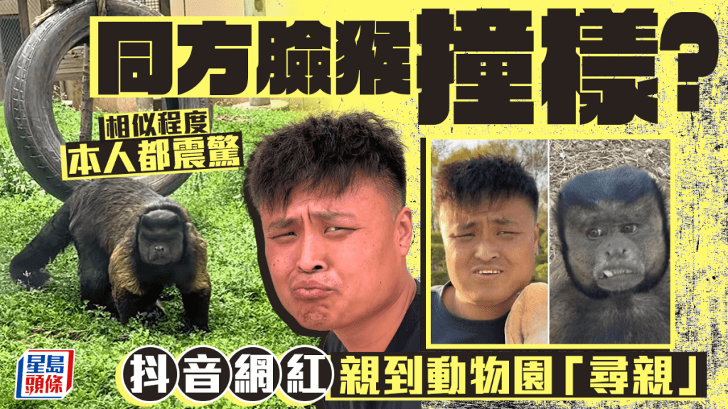 抖音網紅撞臉「方臉猴」,親赴動物園朝聖「認親」。