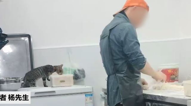 湖北有食店用被貓咪啃吃過的肉餡製作包子，被質疑不衞生。新京報