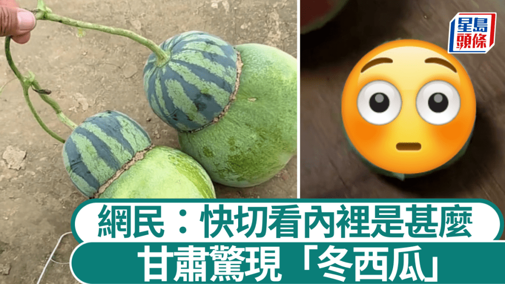 網上「冬西瓜」影片引起大量網民討論。《瀟湘晨報》