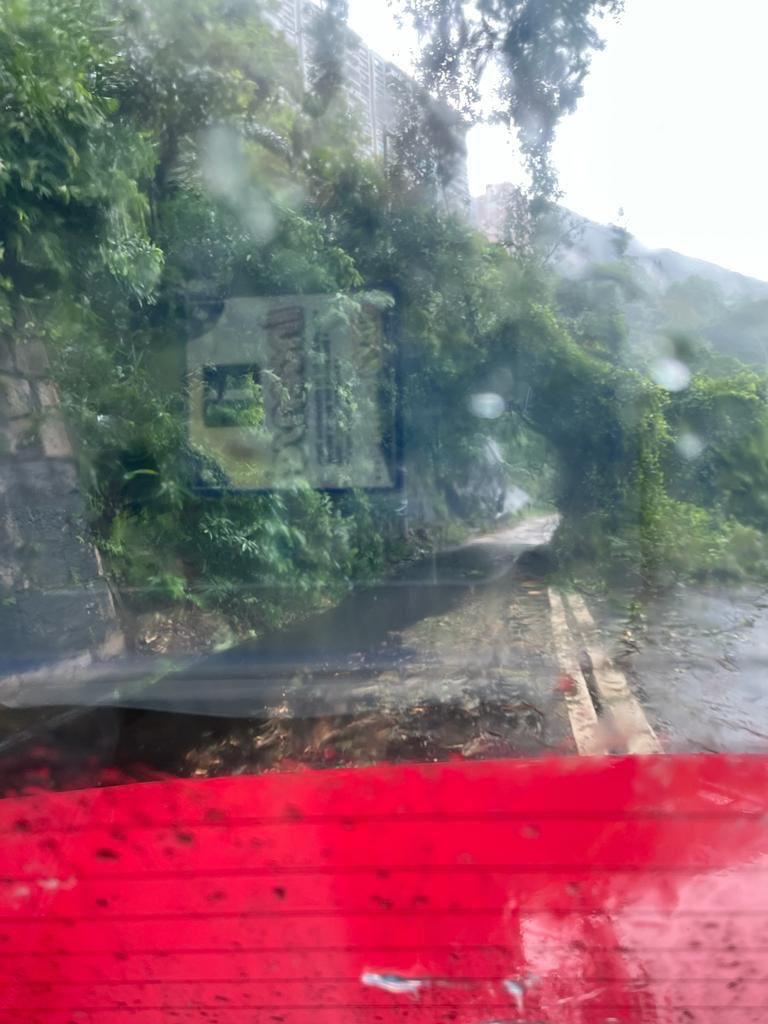 大树被吹冧，跌落行车路。