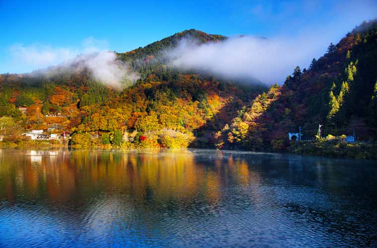 高尾山的红叶胜景，由11月中旬至12月上旬最美。