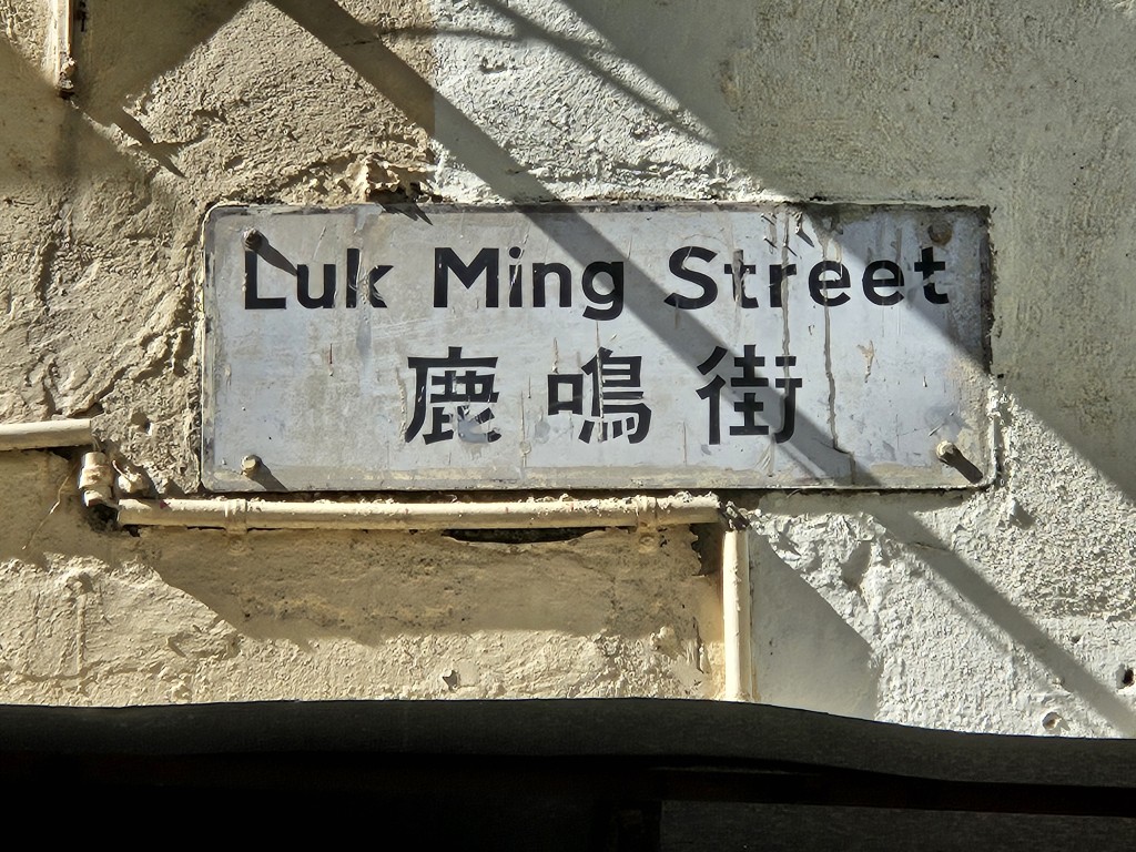 土瓜灣十三街。(維基百科圖片) 土瓜灣十三街。(維基百科圖片)