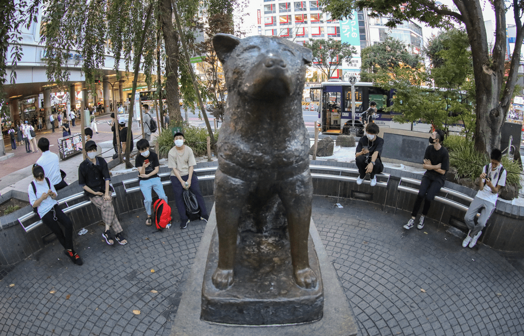 日本东京涩谷的忠犬八公雕像。新华社