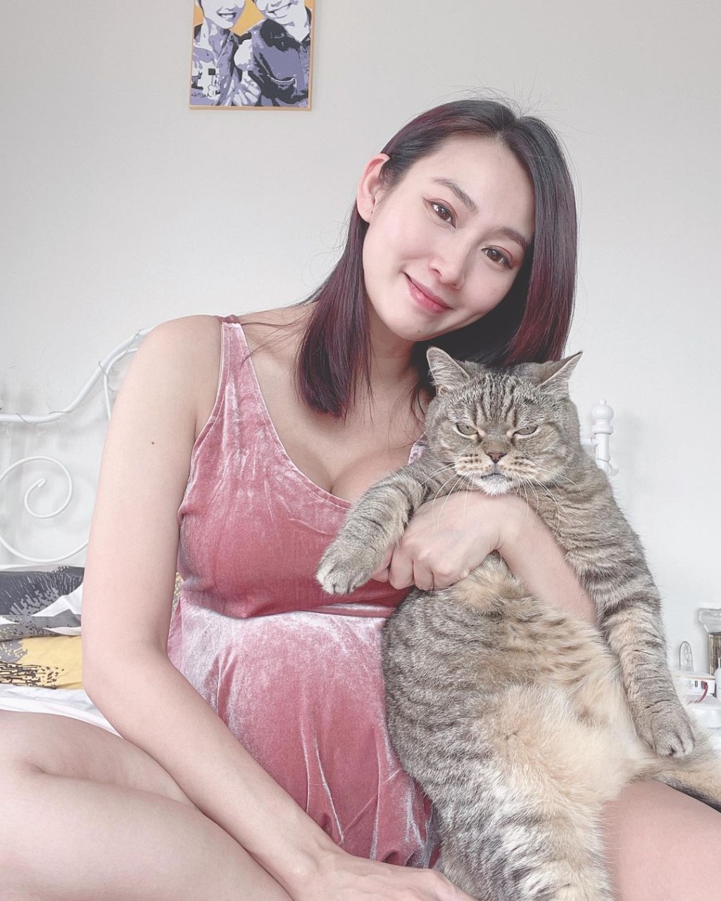 愛貓不合作時的樣子亦獲網民大讚好搞笑。