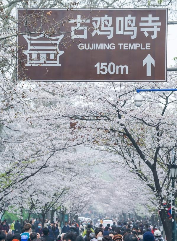 雞鳴寺是地方名。 新華社 雞鳴寺是地方名。 新華社